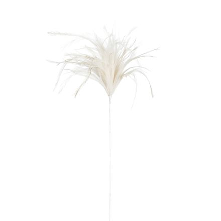Pick Feather Off White - 55x10x3cm