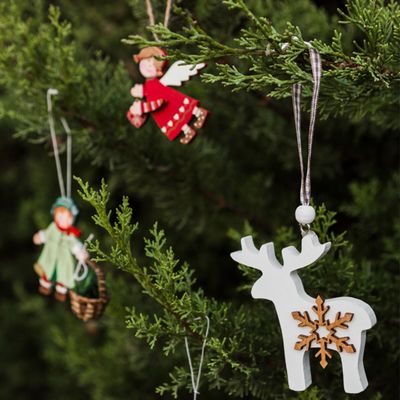 Christmas Trees &amp; Greenery