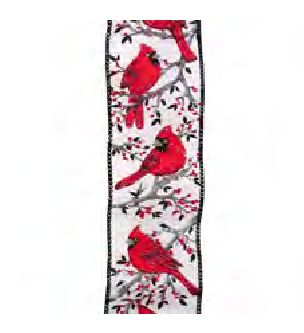 Wired Ribbon 2.5x10 yards - White Red Cardinal In Branch