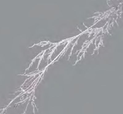 Garland - White Iced 45.25"