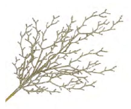 Spray - Coral Champagne Glitter 26.5"