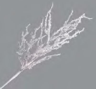 Spray - Twig - White &amp; Ice Glitter 17.5"