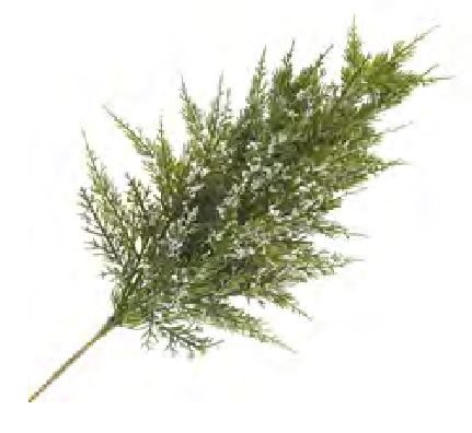 Spray - Cedar Green Snow Frosted 24"