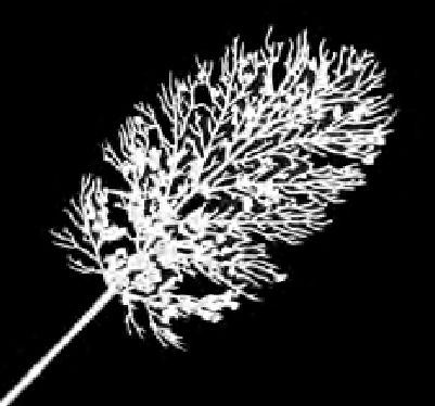 Stem - Cedar White Flocked Snow 28"