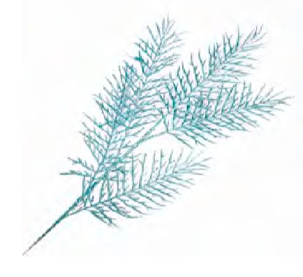 Spray - Fern Leaves Ice Blue Glitter 31.5&quot;