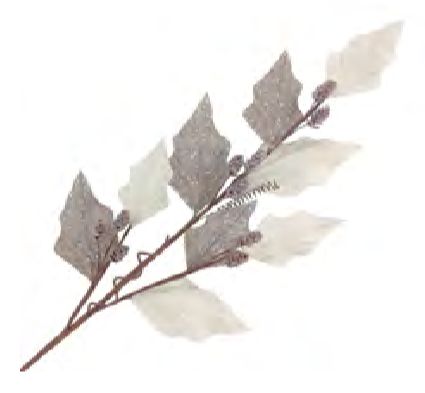 Spray - Leaves Holly Natural Cream Frosted Pinecones 32"