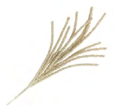 Spray - Stem Mini-Balls Ivory Glitter 26.5"