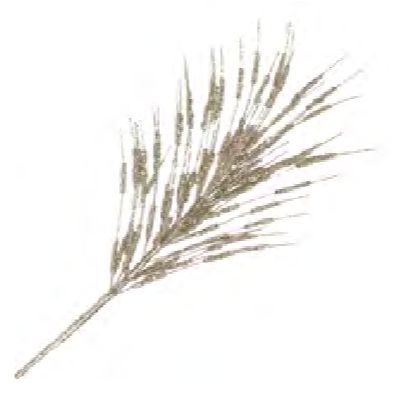 Spray - Firework Feather Grass Champagne Glitter 24"