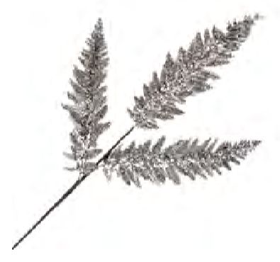 Spray - Fern Leaf Champagne Glitter Sequins 35"