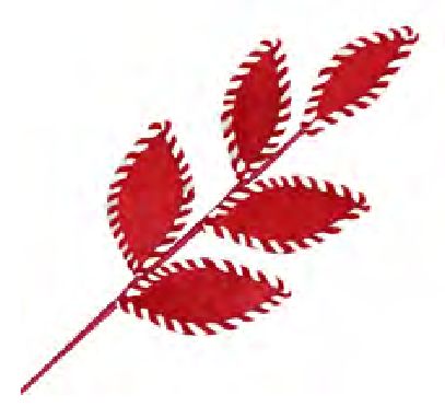 Spray Magnolia Leaf Candy Cane Red White Fur Velvet Stripes Border 25"