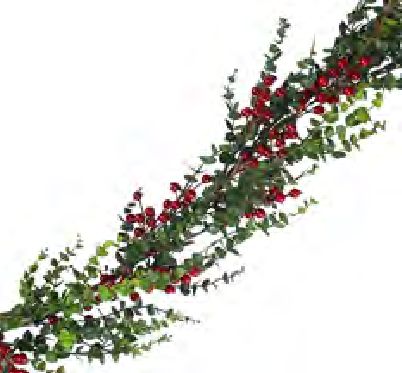 Garland Eucalyptus with Berries 5&#39;
