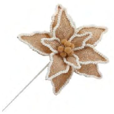 Poinsetta Beige White 26"