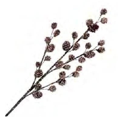 Spray Pine Cone 30" Brown Frosted