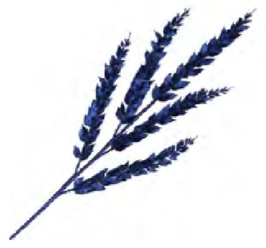Spray Leaf Branch 35" Navy