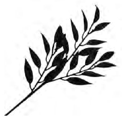 Spray Leaf 29" Black Glitter
