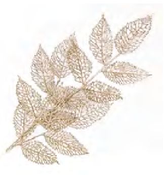 Spray Leaves Net 31.5" Champagne Glitter