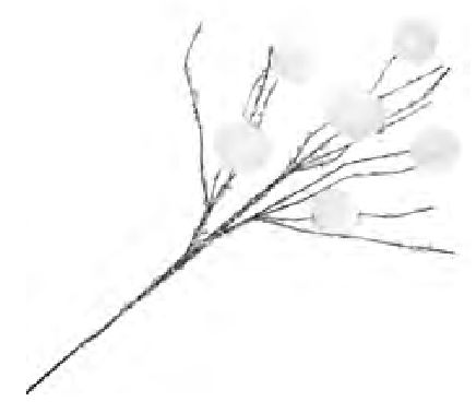 Spray Snowball 36&quot; X6 Frosted