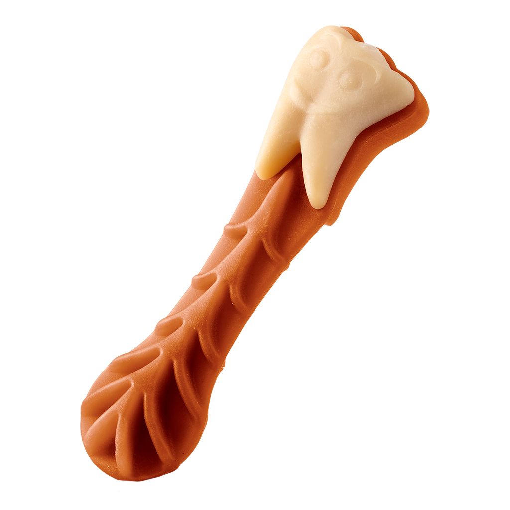 Brushzees Daily, Size: X-Small (28pk)