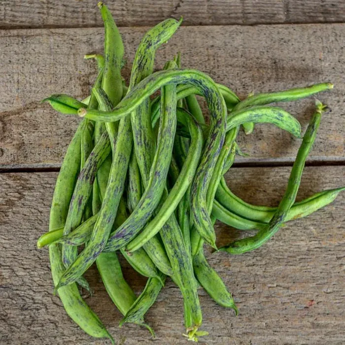 Rattlesnake Pole Bean Seeds 1227