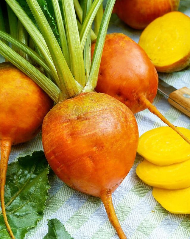 Golden Beet Seeds 1270