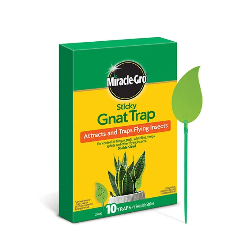 Miracle-Gro Fungus Gnat Trap