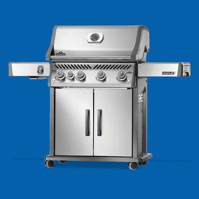 Napoleon Rogue - 10% off