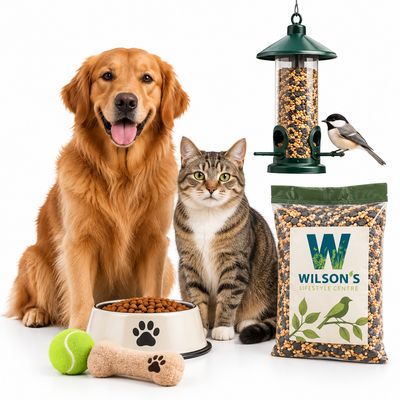 Pets &amp; Wild Birds V2