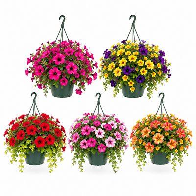 Hanging Baskets