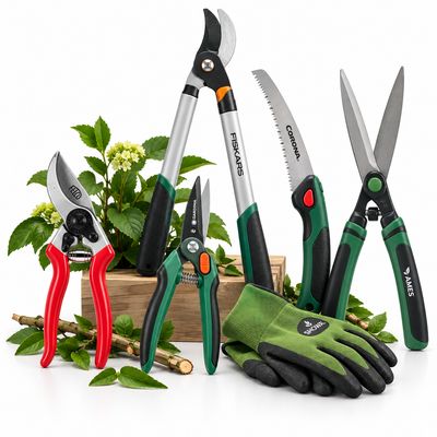Pruning
