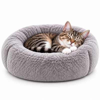 Beds &amp; Furniture