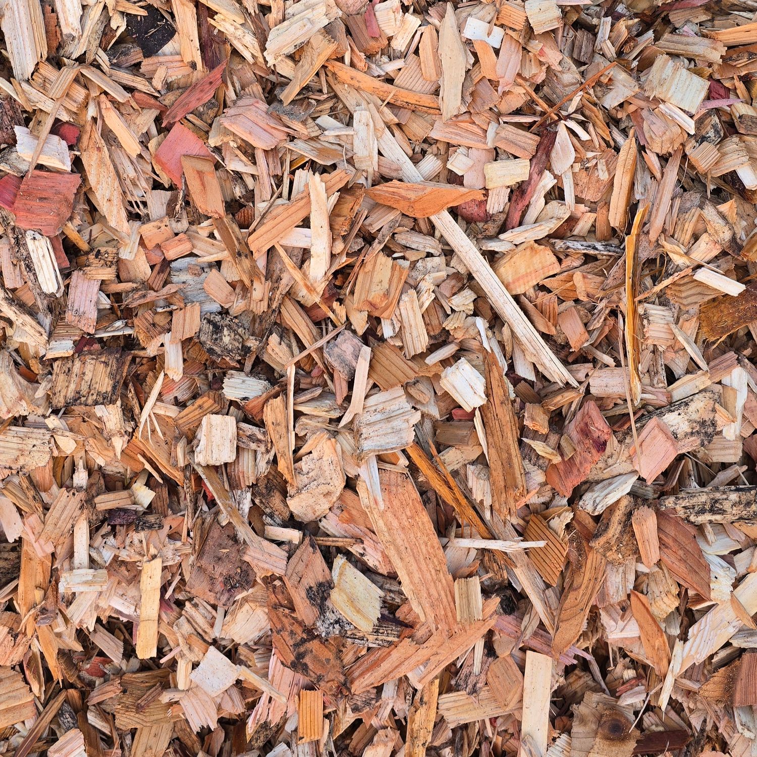 Cedar Chips, Size: 1+ yards