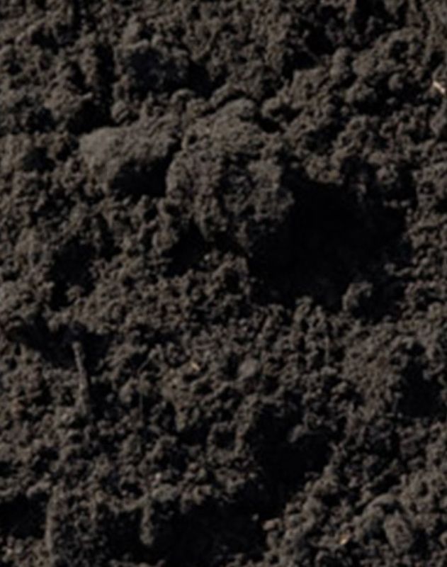 Screened Topsoil