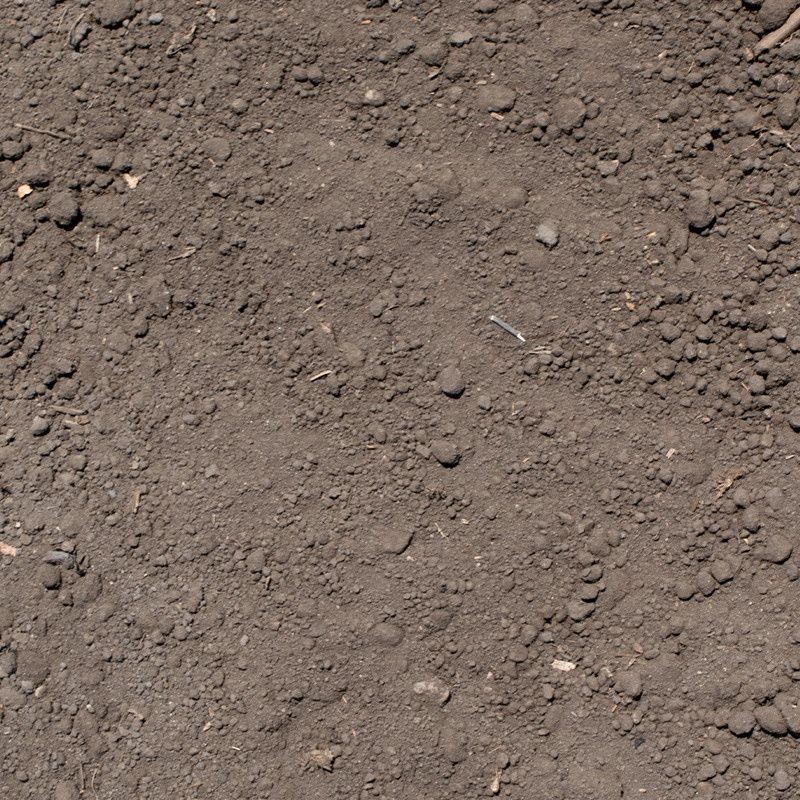 Screened Topsoil