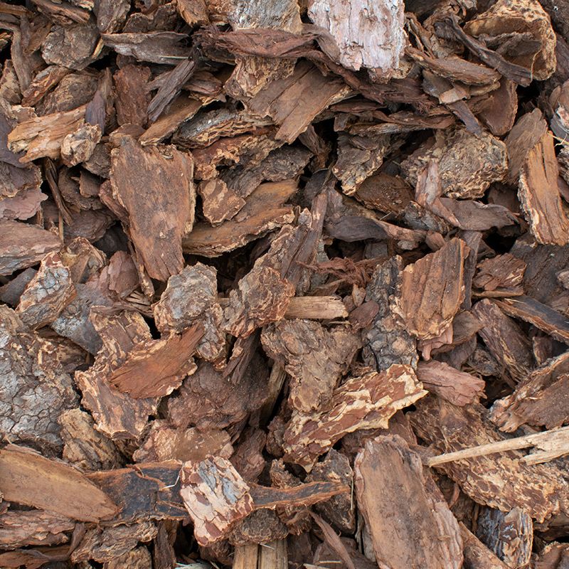 Fir Nuggets, Type: Large, Size: 1+ yards