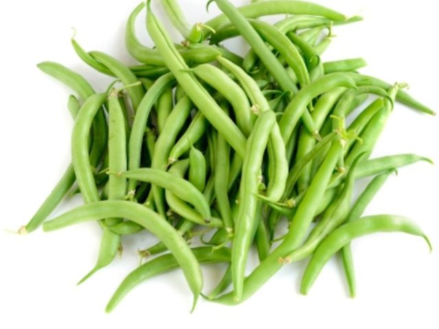 Blue Lake Pole Bean Seeds 1221, Size: Large Packet (4x5")