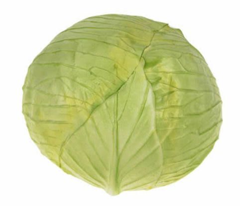 Artificial Cabbage 14cm