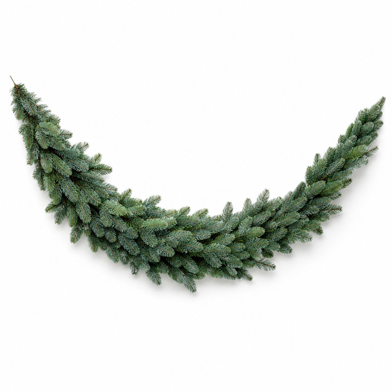 Abies Nordmann - Swag Blue - 180cm