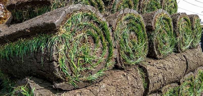 Self Serve Sod Rolls 2'x5'