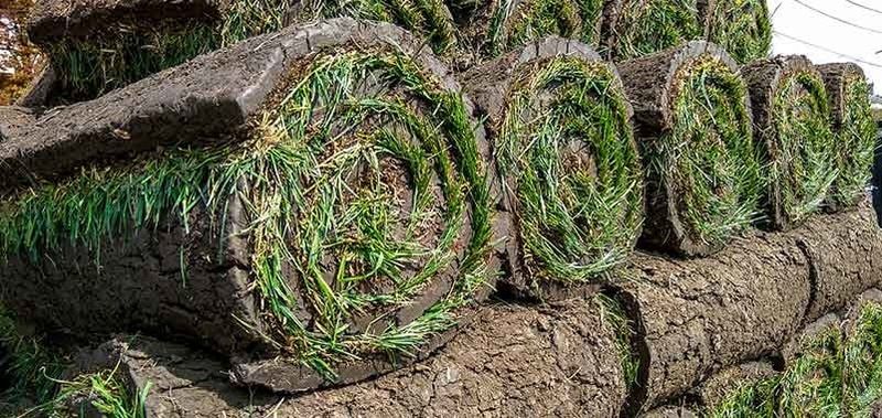 Self Serve Sod Rolls 2'x5'