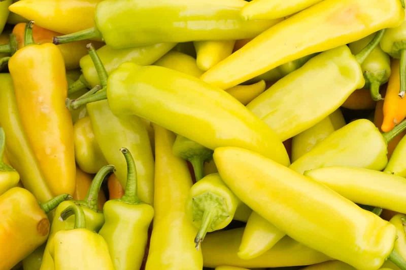 Pepper - Hungarian Hot Wax