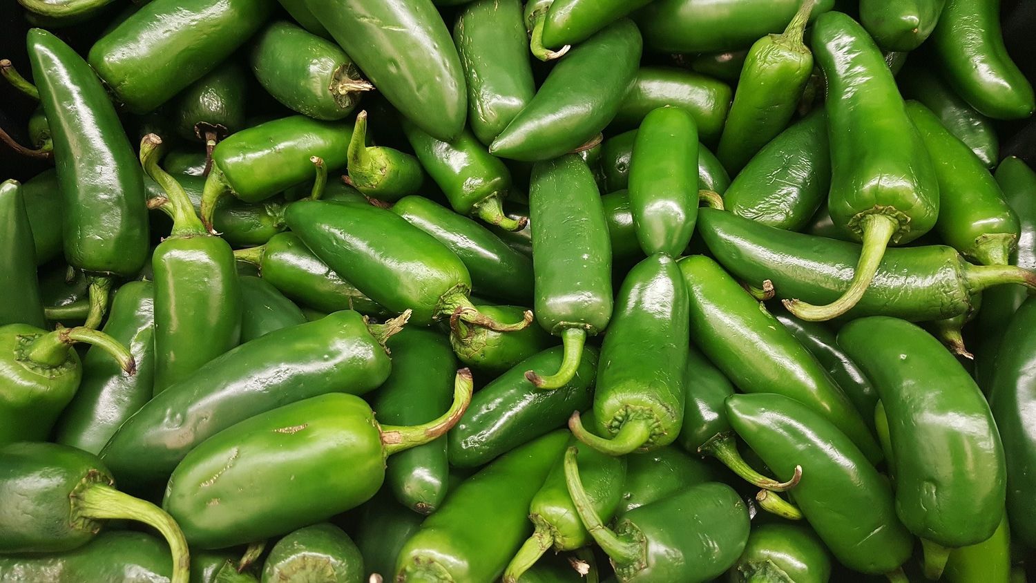 Pepper - Jalapeno