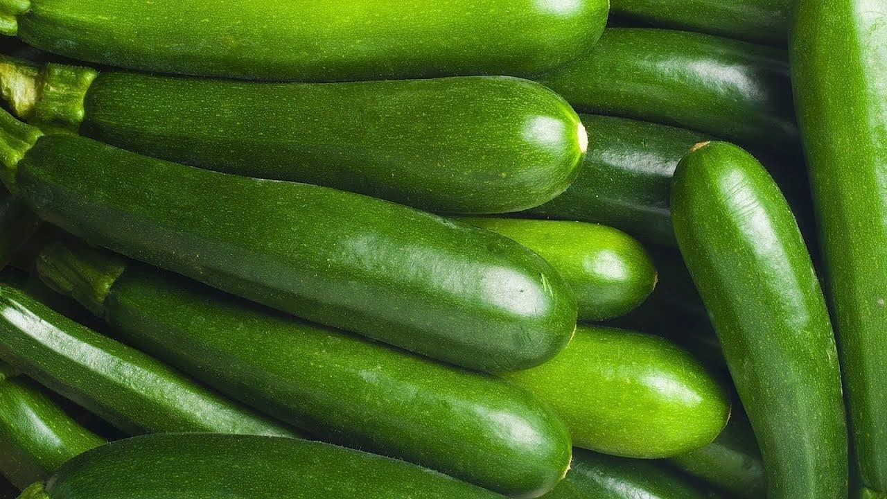 Squash Summer Zucchini - Black Beauty