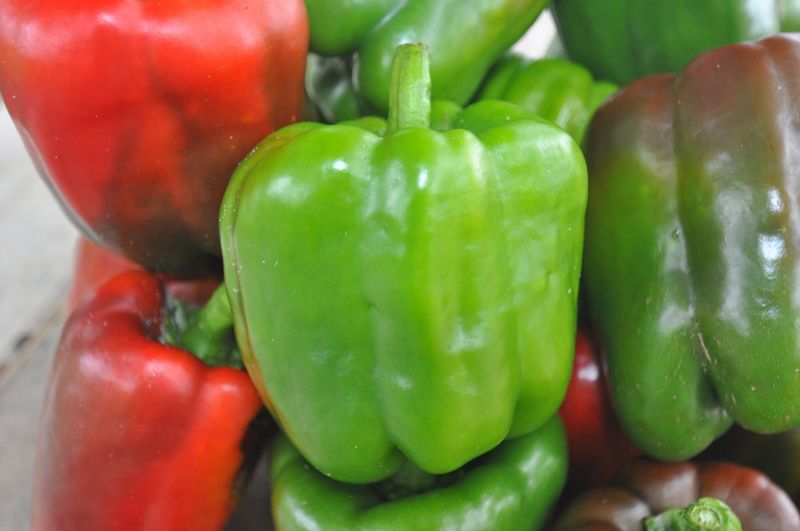 Pepper - California Wonder (6 Pack Large)