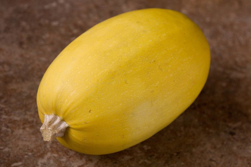 Squash Winter - Spaghetti
