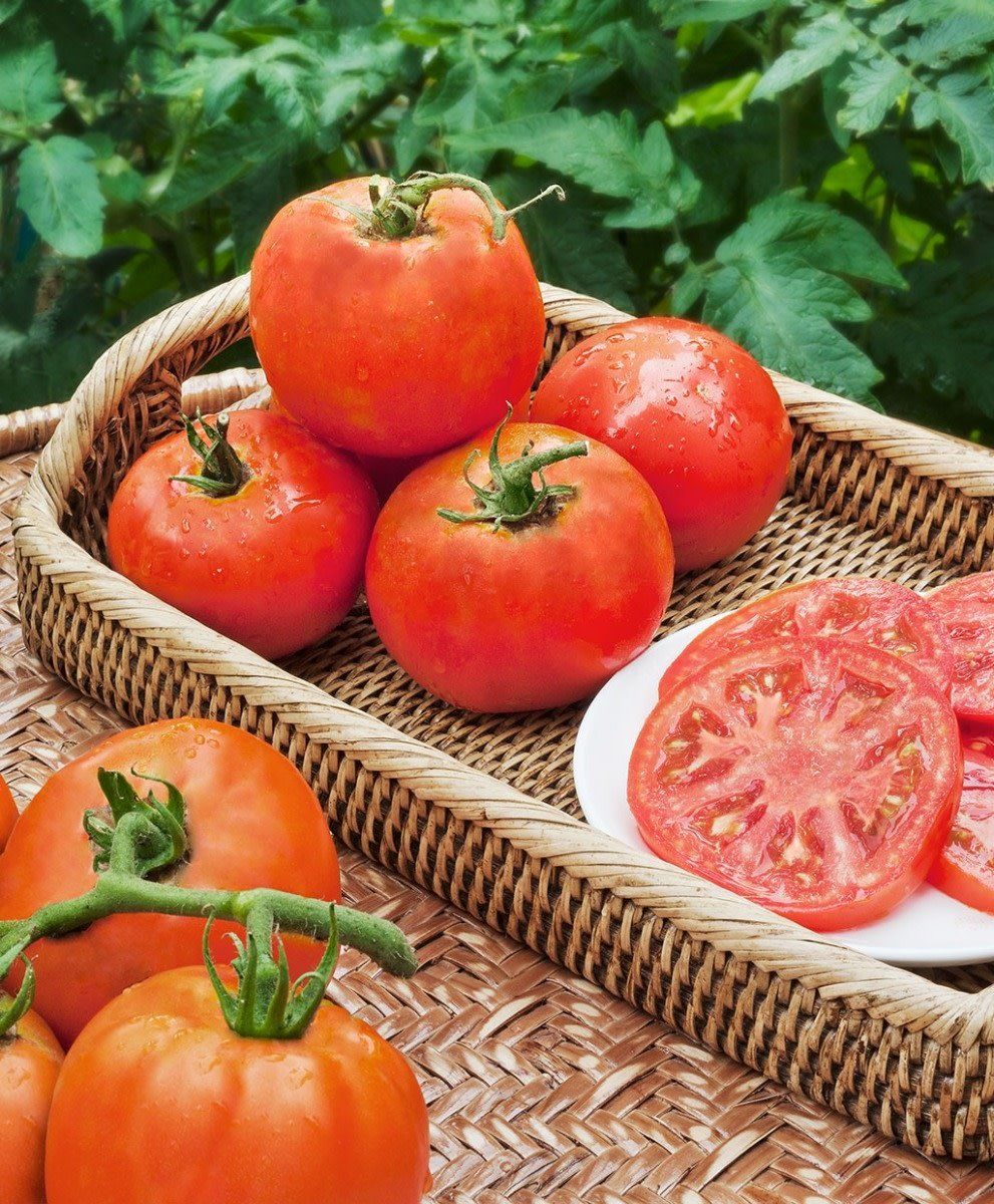 Tomato - Super Fantastic