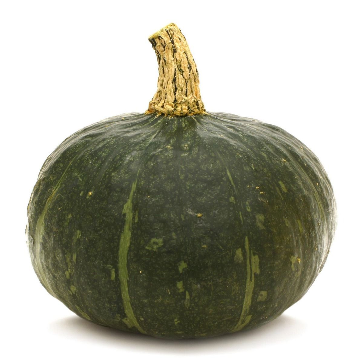 Squash Winter - Buttercup