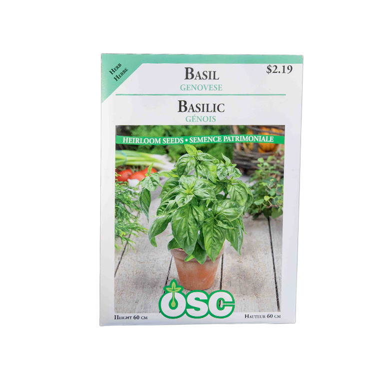 Genovese Basil Seeds 3125