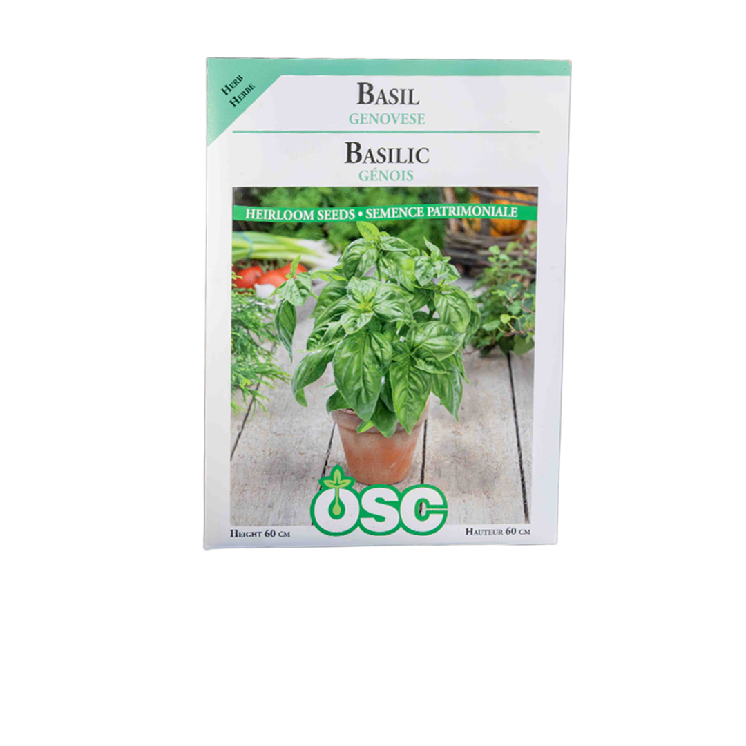 Genovese Basil Seeds 3125