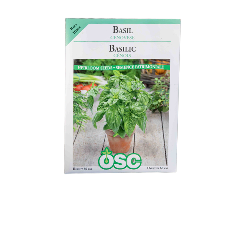 Genovese Basil Seeds 3125