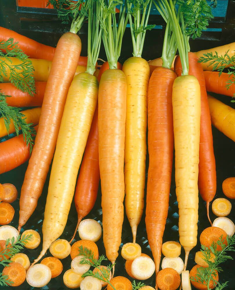 Rainbow Blend Carrot Seeds 1380